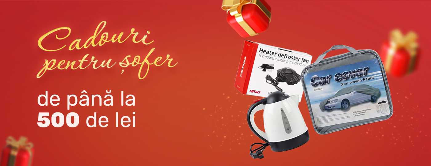 Buget redus și util: 8 cele mai bune cadouri pentru șoferi de Anul Nou de până la 500 de lei